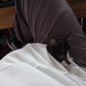 ASian新年裸体pics
