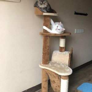 ASian新年裸体pics
